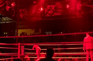 A wrestling ring is illuminated with red lighting, creating a dramatic atmosphere. Several people are visible around the ring, with silhouetted spectators in the foreground. Banners or art adorn the upper walls, and the venue has an industrial ceiling with exposed beams.